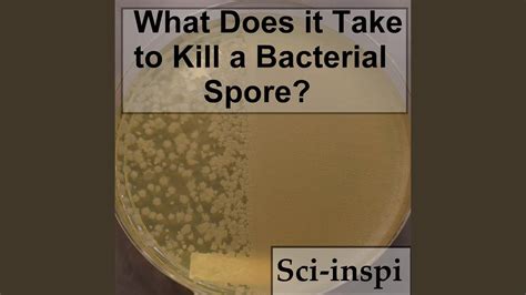 bacterial spore killing problems